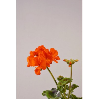 AROMALABORATORY Perfume...